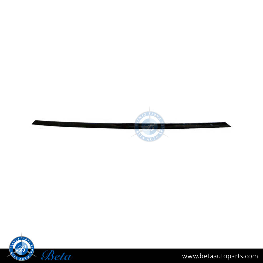 Front Bumper Moulding Sport for BMW 3 Series F30 2012-2015 models, Part Number 51117279699 Front Bumper Moulding Sport for BMW 3 Series F30 2012-2015 models, Part Number 51117279699